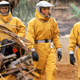 Image for article titled Why "Neglected Diseases" Are Becoming A Global Danger